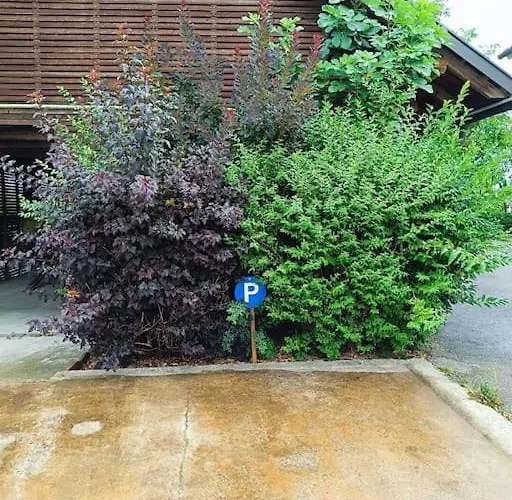 Ruhige Alleinlage Am Bauernhof *